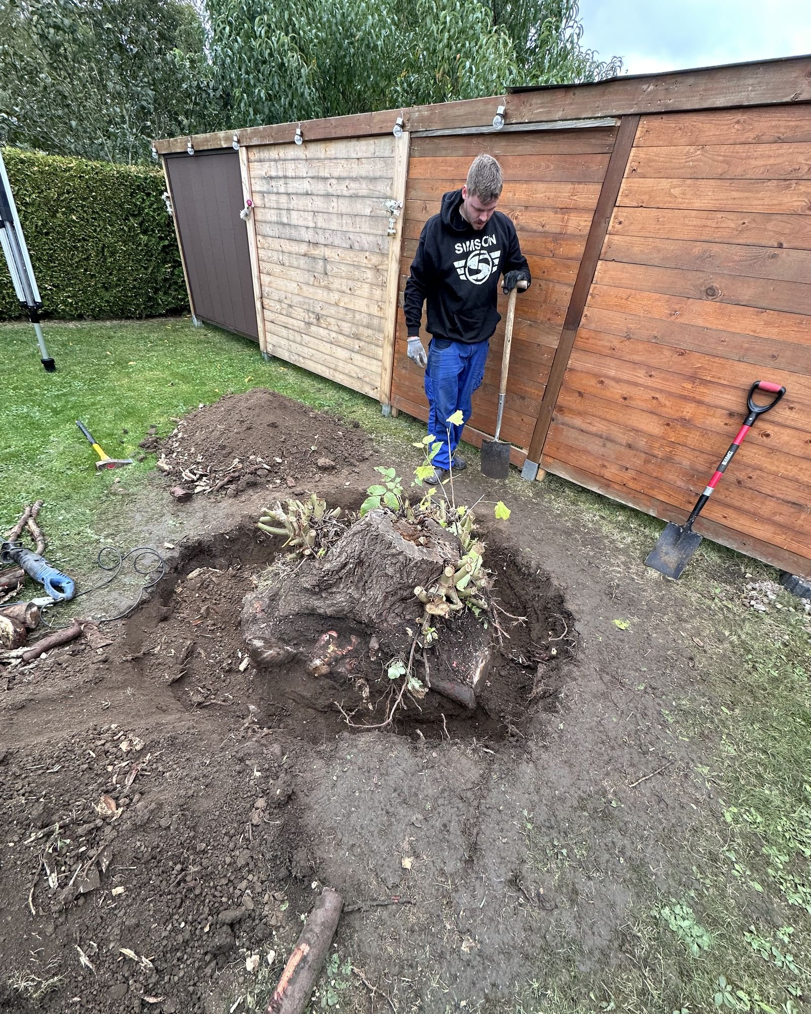 Einer von uns steht mit Arbeitshandschuhen neben einem freigelegten Wurzelstock im Garten, daneben ein Spaten
